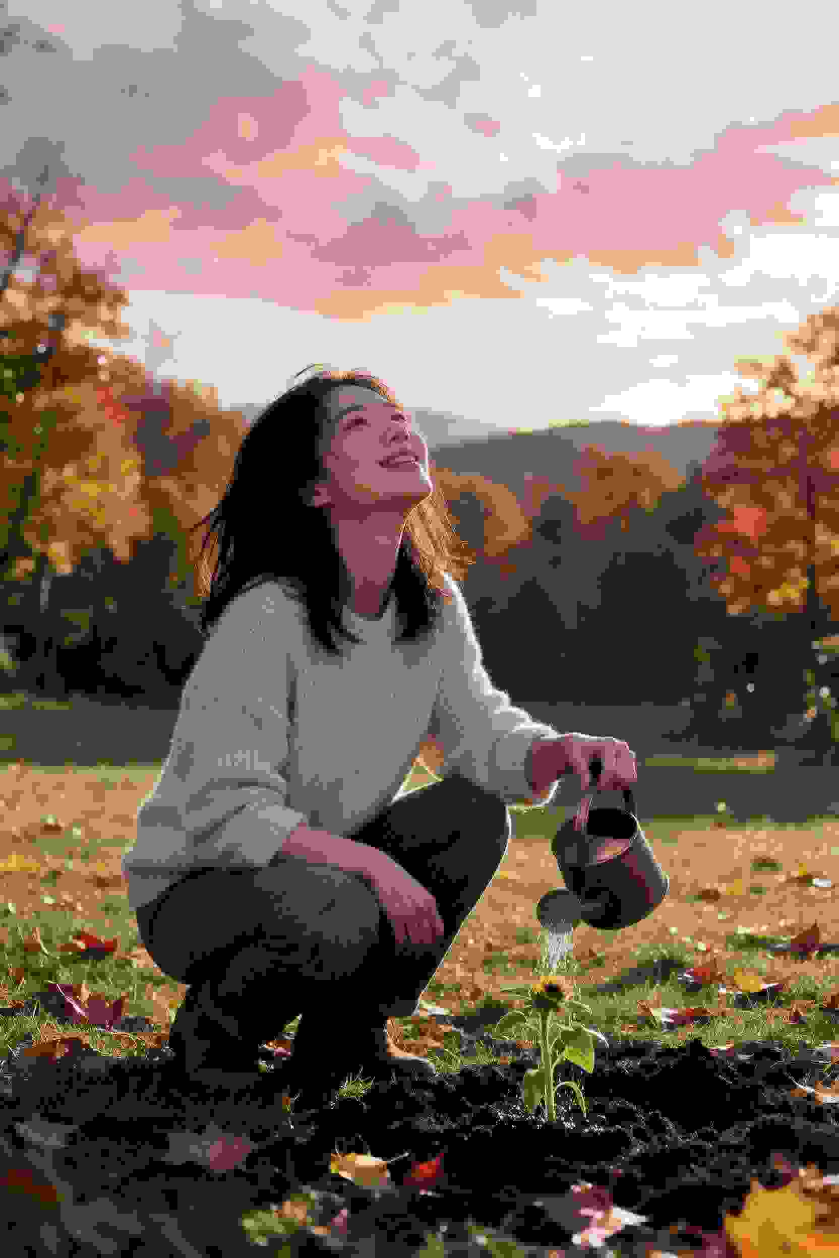 樱花秘密
